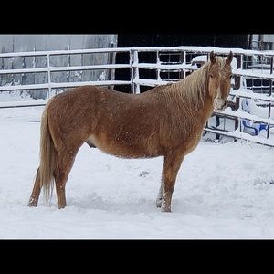 Meet your Posher, Crisslyn